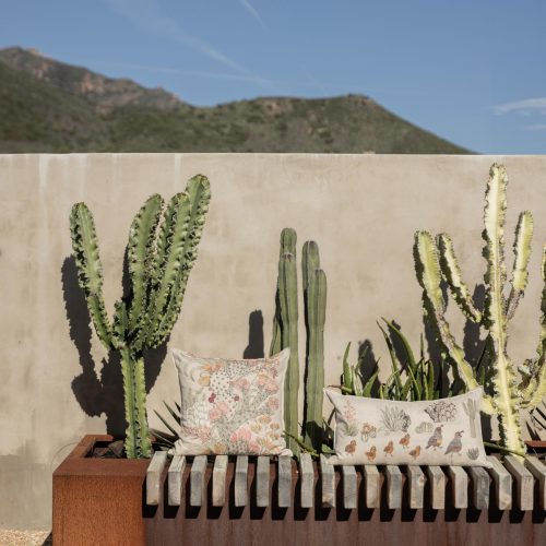 CoralandTusk Desert Cactus Pillows CA