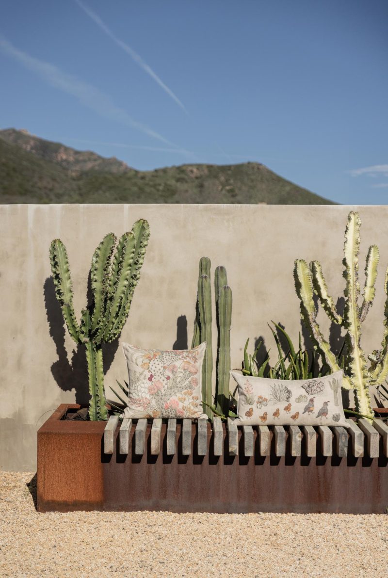 CoralandTusk Desert Cactus Pillows CA