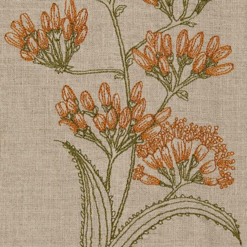 coralandtusk tea towel century plant bloom detail