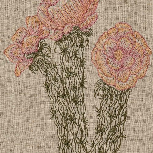 coralandtusk tea towel cholla cactus bloom detail