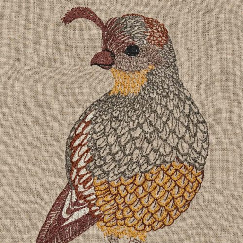 coralandtusk tea towel desert lady quail detail