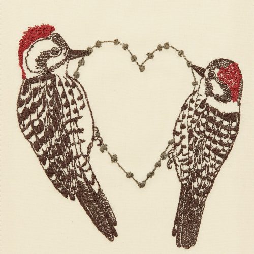 coralandtusk woodpecker love card 3